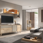 MUEBLE DE SAL&Oacute;N 
