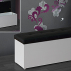 BAUL DIFERENTES COLORES 